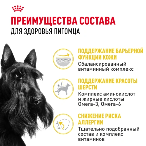 Royal Canin Mini Dermacomfort Сухой корм для собак, 1 кг