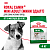 Royal Canin Mini Adult Корм сухой для взрослых собак мелких пород, 4 кг