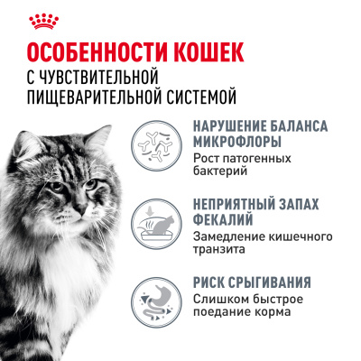 Royal Canin Digestive Care Сухой корм для кошек с расстройствами пищеварительной системы, 2 кг
