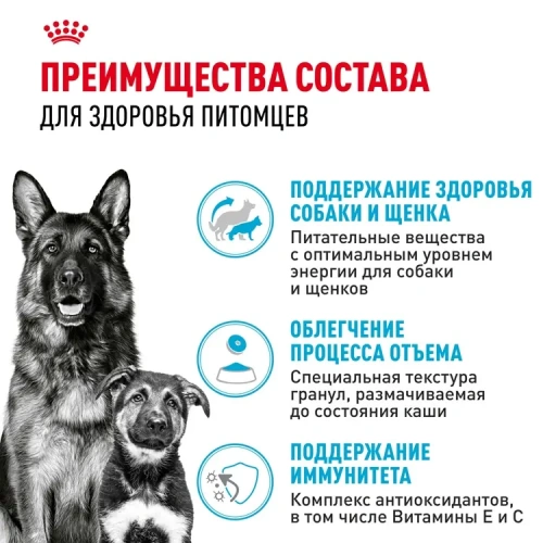 Сухой корм Royal Canin Maxi Starter для щенков крупных пород, беременных и кормящих 4 кг