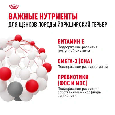 Royal Canin Puppy Yorkshire Terrier Сухой корм для щенков (до 10 мес.) породы Йоркширский терьер, 500 г