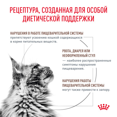 Royal Canin Gastrointestinal Fibre Response Feline Сухой ветеринарный корм для кошек при запорах, 2 кг