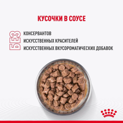 Влажный корм Royal Canin Kitten Sterilised, корм для стерилизованных котят в соусе, 28*85 г