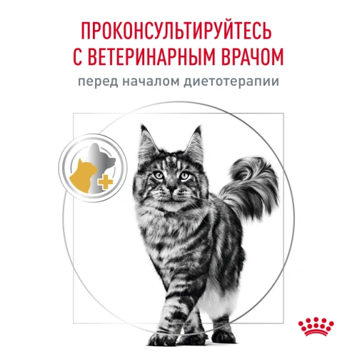 Сухой корм Royal Canin Urinary S/O Moderate Calorie Feline для кошек при мочекаменной болезни 0,4 кг