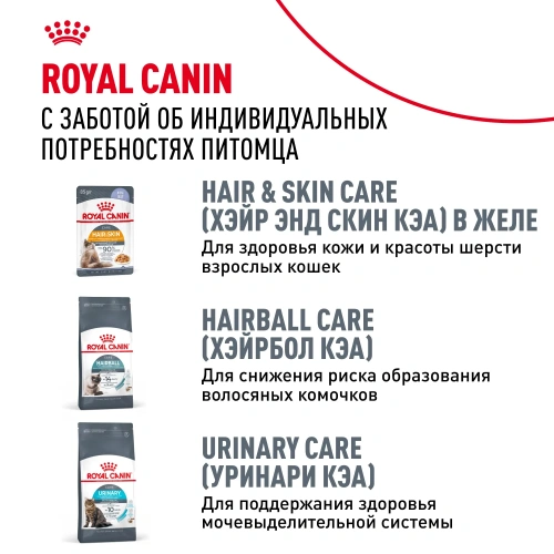 Royal Canin Intense Beauty Care Консервированный корм для кошек - красивая шерсть, соус, 85 г