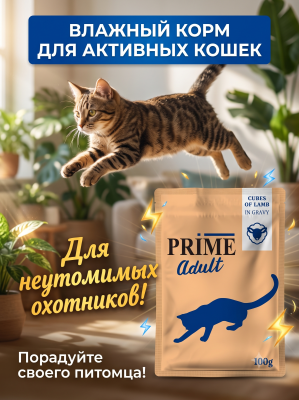 Влажный корм для кошек Prime Adult Кусочки из ягненка в бульоне, пауч 100г