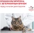 Сухой корм Royal Canin Diabetic для кошек при сахарном диабете - 1,5 кг Сухой корм Royal Canin Diabetic для кошек при сахарном диабете - 1,5 кг