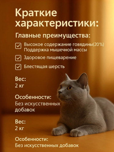 Сухой корм Delish Super Premium для кошек  Говядина с рисом, 2 кг