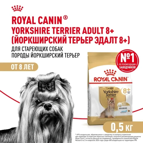 Royal Canin Yorkshire Terrier Adult 8+ Сухой корм для собак породы Йоркширский терьер - старше 8 лет, 500 г