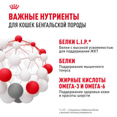 Сухой корм Royal Canin Bengal Adult для взрослых кошек бенгальской породы (Бенгал эдалт) 400 г