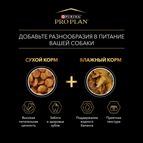 Влажный корм Pro Plan для собак мелких и карликовых пород, с говядиной и курицей в соусе 10*85 г