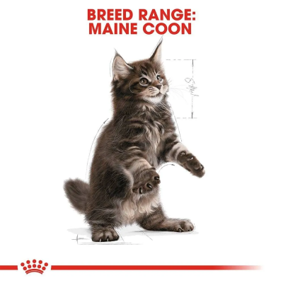 Влажный корм Royal Canin Maine Coon Kitten, корм для котят породы мейн-кун в соусе, 28*85 г