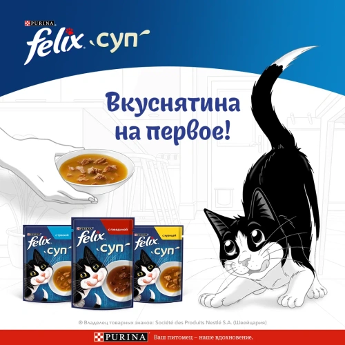 Влажный корм Felix Суп Говядина 36x48г