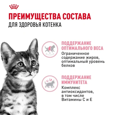 Влажный корм Royal Canin Kitten Sterilised, корм для стерилизованных котят в соусе, 28*85 г