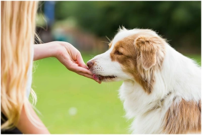 Лакомство для собак Мнямс куриная соломка с хондроитином 100 гр