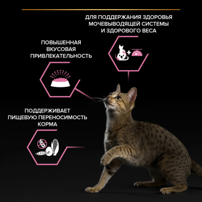Сухой корм Purina Pro Plan Steril для стерилизованных кошек с чувст. пищеварением - Курица, 400 гр
