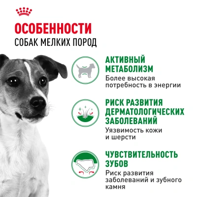 Royal Canin Mini Adult Сухой корм для собак мелких пород, 2 кг