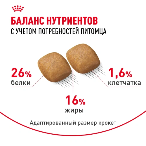 Royal Canin Pomeranian Adult Сухой корм для собак породы Померанский шпиц, 1,5 кг