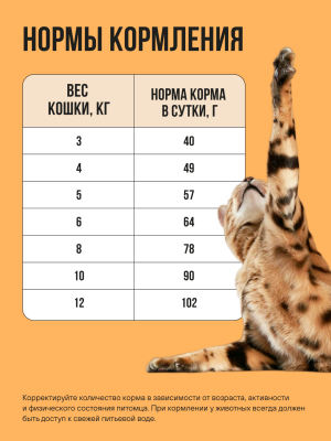 Корм для кошек BOWL WOW с чувствительным пищеварением сухой полнорационный с индейкой и тыквой 400 г