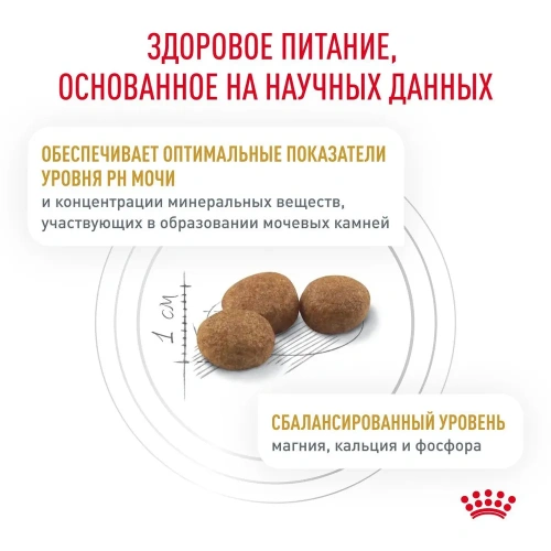 Royal Canin Urinary S/O Сухой корм для взрослых кошек при мочекаменной болезни, 3,5 кг