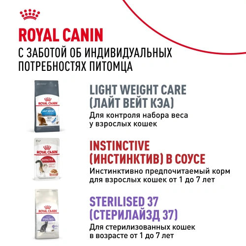Влажный корм для кошек Royal Canin Indoor Sterilised кусочки в соусе, 85 г