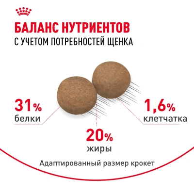 Royal Сanin Mini Puppy Корм сухой для щенков мелких пород, 2 кг