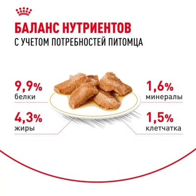 Royal Canin Консервированный корм для кошек породы Мейн Кун, кусочки в соусе, 85 г