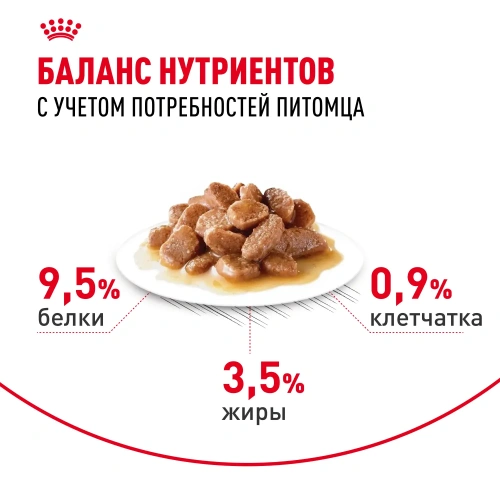 Royal Canin Digest Sensitive Консервированный корм для кошек с чув. пищ. кусочки в соусе, 85 г