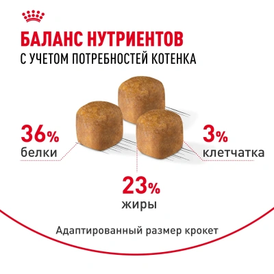 ROYAL CANIN Maine Coon Корм сухой для Котят породы Мейн-Кун, 2 кг