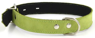 Ошейник 1111С COLOR LINE 1сл 12 мм нубук/фетр длина 21-29 см салатовый