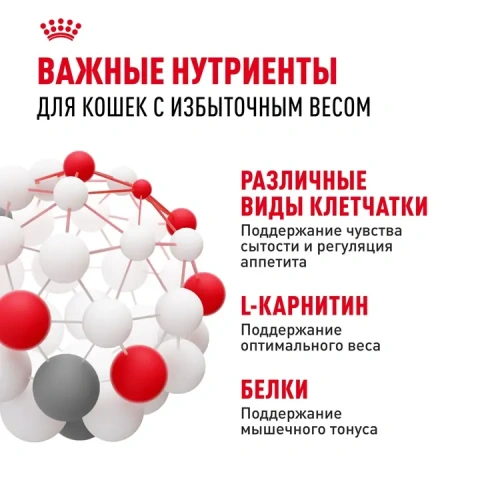 Влажный корм Royal Canin Light weight care для кошек при кошек при избыточном весе, желе 85г