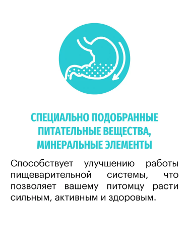 Сухой корм Karmy для собак мелких пород, склонных к пищевой аллергии Ягненок 10кг