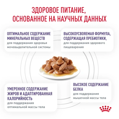 Влажный корм Royal Canin Neutered Maintenance для стерилизованных кошек в соусе 85г