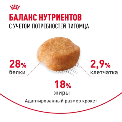 Royal Canin Adult Yorkshire Terrier Сухой корм для взрослых собак породы Йоркширский терьер, 1,5 кг