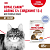 Royal Canin Ageing 12+ Консервированный корм для кошек старше 12 лет, кусочки в желе  85 г