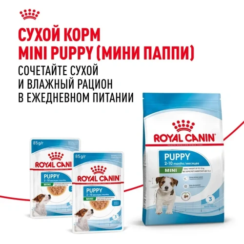 Влажный корм Royal Canin для щенков минипород в соусе 85 г.