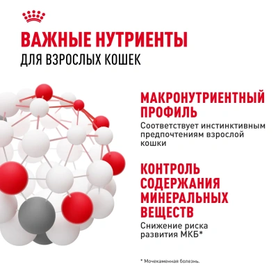 Royal Canin Instinctive Консервированный корм для кошек, кусочки в желе, 85 г