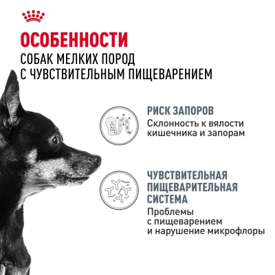 Royal Canin Digestive Care Mini Сухой корм для собак мелких пород с чувствительным пищеварением, 1 кг