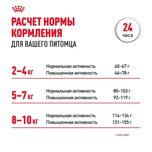 Сухой корм Royal Canin Adult Mini для пожилых собак мини пород 8+, 2 кг
