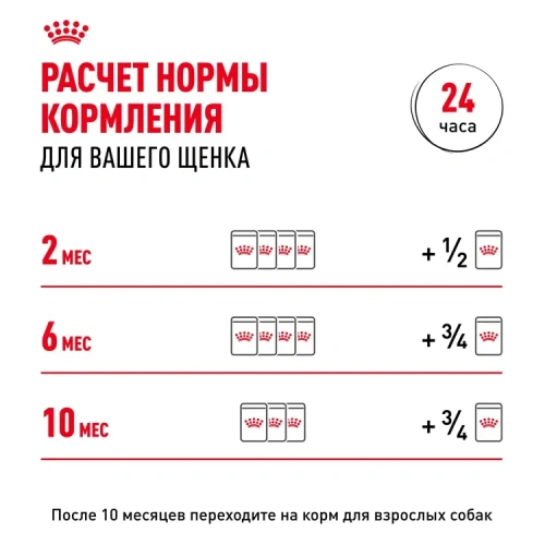 Влажный корм Royal Canin для щенков минипород в соусе 85 г.