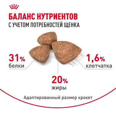 Royal Canin X-Small Junior Корм сухой для щенков миниатюрных пород, 1,5 кг