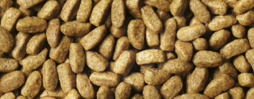 Сухой корм Purina Pro Plan для кошек с избыточным весом, индейка, пакет, 1,5 кг