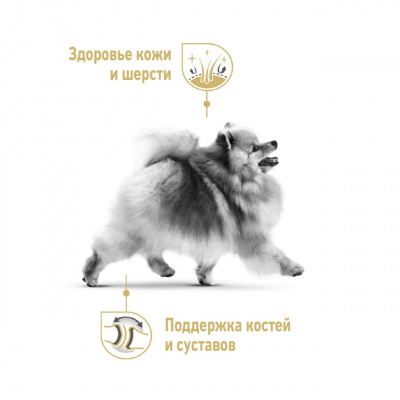 Royal Canin Pomeranian Adult