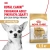 Royal Canin Chihuahua Adult Сухой корм для собак породы Чихуахуа, 1,5 кг