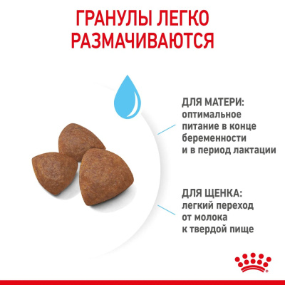 Сухой корм Royal Canin Medium Starter для щенков средних пород ,беременных и кормящих 4 кг