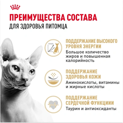 ROYAL CANIN Sphynx Корм сухой для кошек породы Сфинкс, 400 г