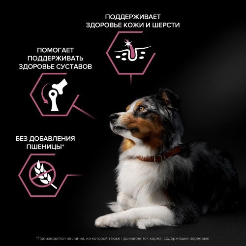 PRO PLAN DOG Optiderma Сухой корм для взрослых собак средних пород с чувствительной кожей - с лососем, 3 кг