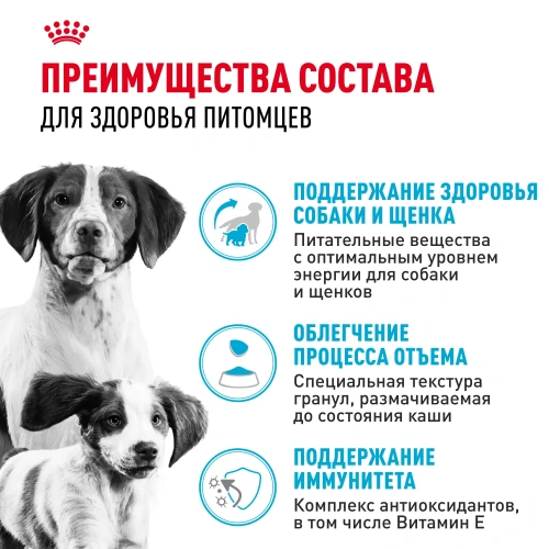 Сухой корм Royal Canin Medium Starter для щенков средних пород ,беременных и кормящих 4 кг