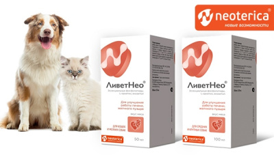 ЛиветНео V404 суспензия д/средних и крупных собак для улучшения работы печени, желчного пузыря 100мл