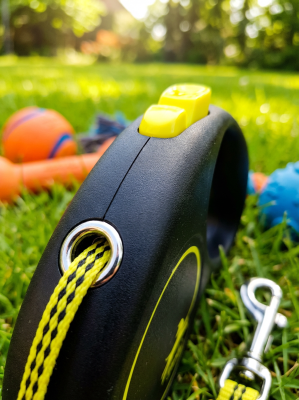 Поводок-рулетка Flexi Fun cord M 5 м, 20кг,  неоновая